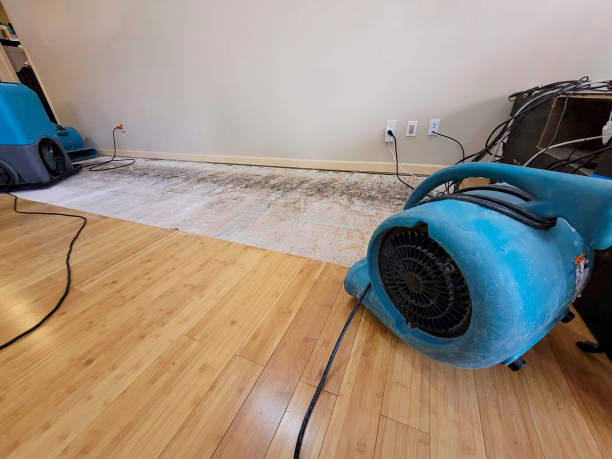 Professional Basement Flood Cleanup technician working in Ida, MI